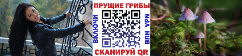 закладка  блэк спрут сайт  darknet состав  Данков  Псилоцибиновые грибы мухоморы 